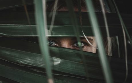 Τι συμβαίνει μέσα στον νάρκισσο;